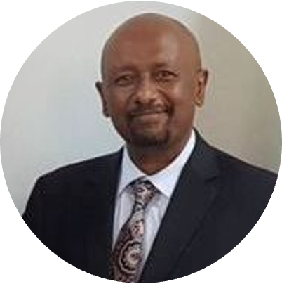 Dr. Eng. Seleshi Bekele